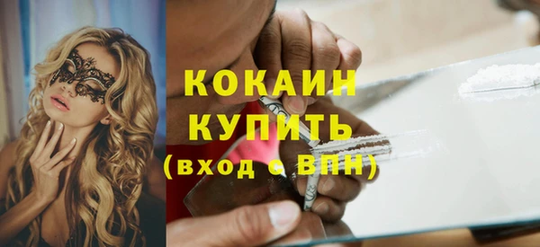 ПСИЛОЦИБИНОВЫЕ ГРИБЫ Новозыбков