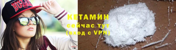 ПСИЛОЦИБИНОВЫЕ ГРИБЫ Новозыбков