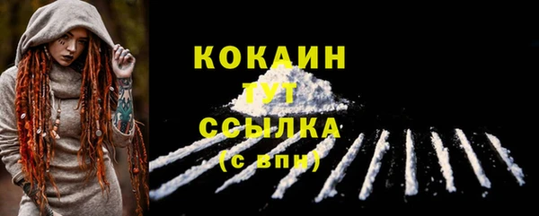 мет Новодвинск