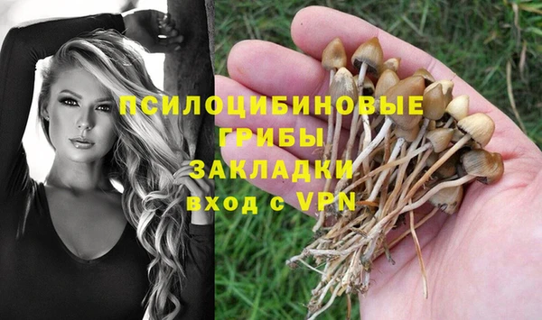 мет Новодвинск