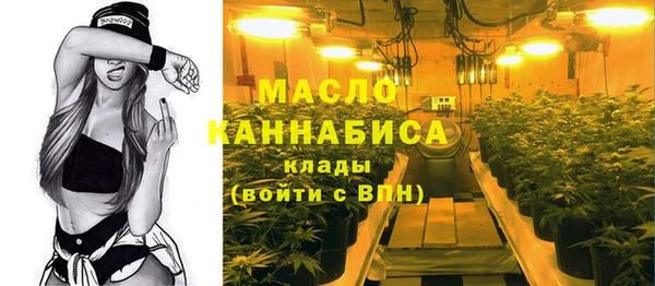 мет Новодвинск