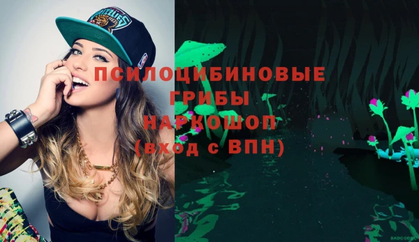 мет Новодвинск