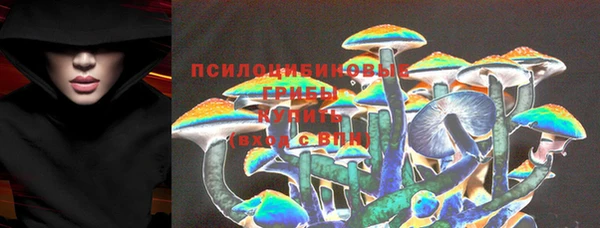 ПСИЛОЦИБИНОВЫЕ ГРИБЫ Новозыбков