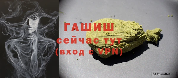 ПСИЛОЦИБИНОВЫЕ ГРИБЫ Новозыбков