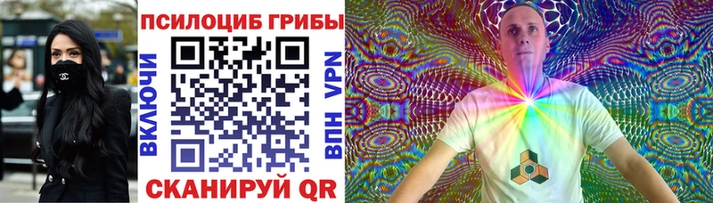 где купить наркоту  мега вход  нарко площадка формула  Светлый  Псилоцибиновые грибы ЛСД 